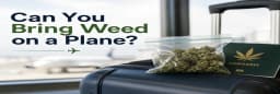 can you bring weed on a plane can you bring weed on a plane