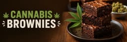 how to cook cannabis brownies how to cook cannabis brownies