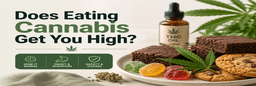 does eating cannabis get you high does eating cannabis get you high