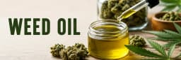 How to Make Weed Oil at Home How to Make Weed Oil at Home