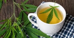 how to prepare cannabis tea how to prepare cannabis tea