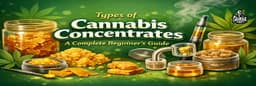 types of cannabis concentrates types of cannabis concentrates